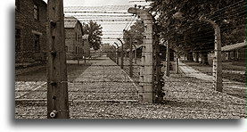 Obozowe ogrodzenie #2::Obóz koncentracyjny Auschwitz::