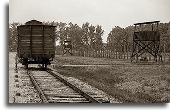 Train track::Auschwitz Concentration Camp::