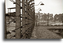 Electrified Fence #2::Auschwitz Concentration Camp::