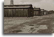 Wooden Barracks::Auschwitz Concentration Camp::