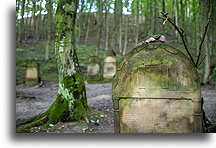 New Jewish Cemetery::Kazimierz Dolny, Poland::
