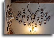  Hunting Hall::Korzkiew Castle, Poland::