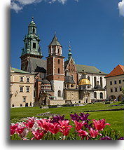 Wawelska katedra::Kraków, Polska::