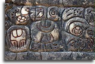 Stucco Text::Caracol, Belize::