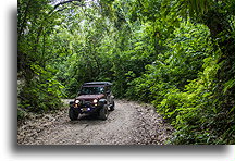 Road to El Pilar::El Pilar, Belize::