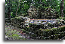 The Maya House::El Pilar, Belize::