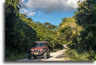 La Milpa Road::Rio Bravo Conservation Area, Belize::