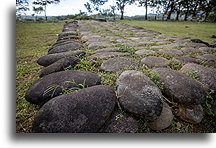 Stone Platform #1::Batambal, Costa Rica::