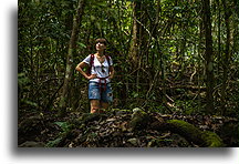 W gęstym lesie::Reserva Natural Cabo Blanco, Kostaryka::