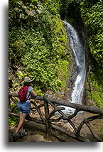 Blue Morpho Waterfall::Mistico Hanging Bridges, Costa Rica::