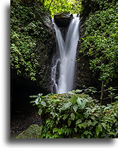 Wodospad ukryty::Viento Fresco, Kostaryka::