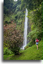 Rainbow Waterfall #2::Viento Fresco, Costa Rica::
