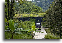 Zielony dach::Uvita, Kostaryka::