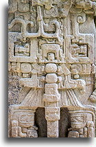 Stela D - 19 lutego 766 #1::Quiriguá, Guatemala::