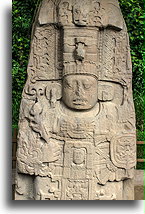 Stela K- 24 lipca 805::Quiriguá, Guatemala::