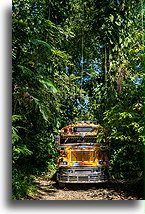 Gwatemalski typowy autobus::Takalik Maya Lodge, Gwatemala::