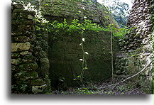 Starożytny pałac::Uaxactun, Gwatemala::