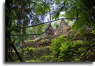 Ruiny pałacu::Uaxactun, Gwatemala::