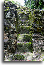 Ballcourt Stairs::Uaxactun, Guatemala::