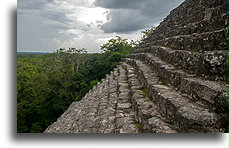 Strome schody::Calakmul, Campeche, Meksyk::