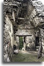 Palace Room #2::Calakmul, Campeche, Mexico::