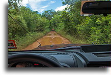 Road to Kankirixche #1::Cenote Kankirixche, Yucatán, Mexico::