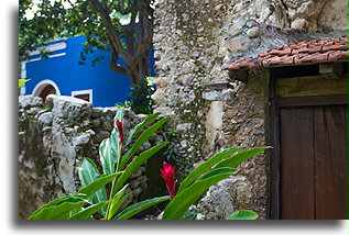 Behind the Chapel #2::Hacienda San Jose, Yucatán, Mexico::