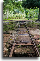 Narrow Gauge Railway::Hacienda Temozón, Yucatán, Mexico::