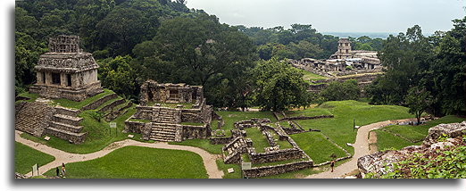 Temples of the Cross Group::Palenque, Chiapas, Mexico::