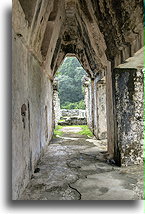 Corbel Vault::Palenque, Chiapas, Mexico::