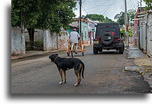 Lazy Street::Santa Elena, Yucatán, Mexico::