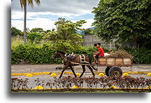 Cart::Granada, Nicaragua::