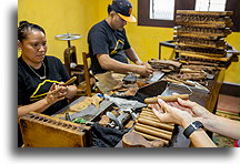 Freshly Wrapped Cigar::Granada, Nicaragua::