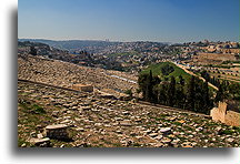 Old Graves::Mount of Olives, Jerusalem, Israel::