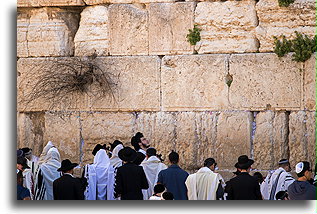 Ciosane kamienie::Ściana Płaczu. Jerozolima, Izrael::