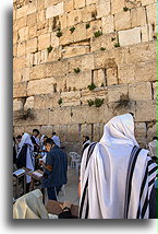 Prayers #3::Western Wall, Jerusalem, Israel::