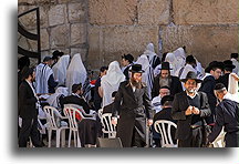 Prayers #5::Western Wall, Jerusalem, Israel::