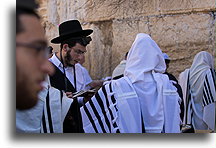 Prayers #11::Western Wall, Jerusalem, Israel::