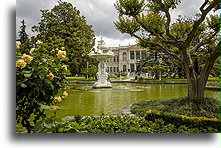 Imperial Garden::Dolmabahçe Palace, Istanbul, Turkey::