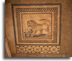 Roman Floor Mosaic #1::Ephesus, Turkey::