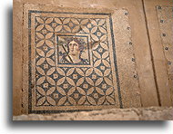 Roman Floor Mosaic #2::Ephesus, Turkey::