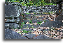 Ancient Stariway::Hiva Oa, Marquesas::