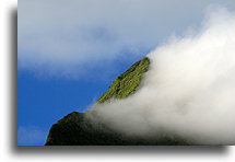 Szczyt góry Tohiea::Moorea, Polinezja Francuska::