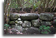 Stone House Platform::Nuku Hiva, Marquesas::