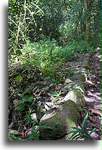 Ancient Road #2::Nuku Hiva, Marquesas::