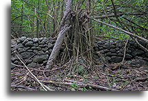 Stone Wall::Nuku Hiva, Marquesas::