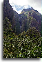 Vaipo Waterfall::Nuku Hiva, Marquesas::