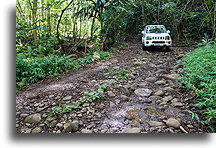 Back Road::Nuku Hiva, Marquesas::