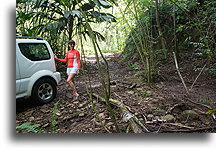 Off-Road Experience::Nuku Hiva, Marquesas::