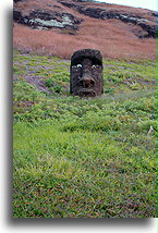 Face at Rano Raraku::Easter Island::